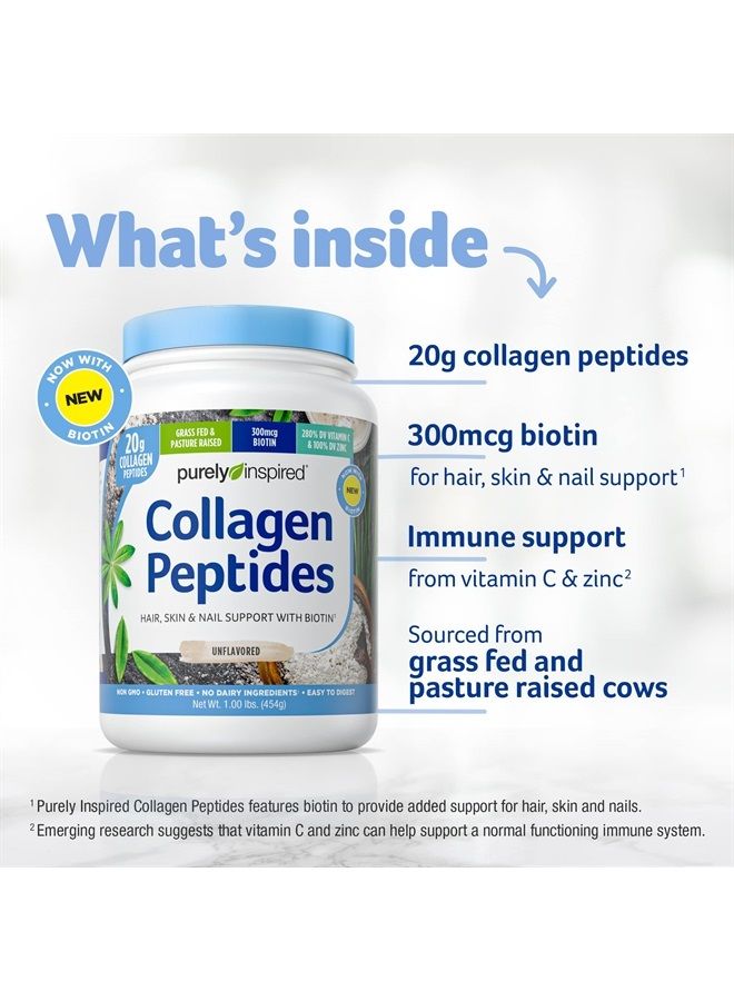purely inspired Collagen Powder |Collagen Peptides Supplements for Women & Men | Collagen Protein Powder with Biotin | Paleo + Keto Certified | Unflavored, 1 lb (Packaging May Vary) - Image 2