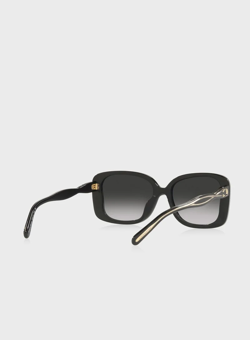 COACH 0Hc8334U Oversized Sunglasses