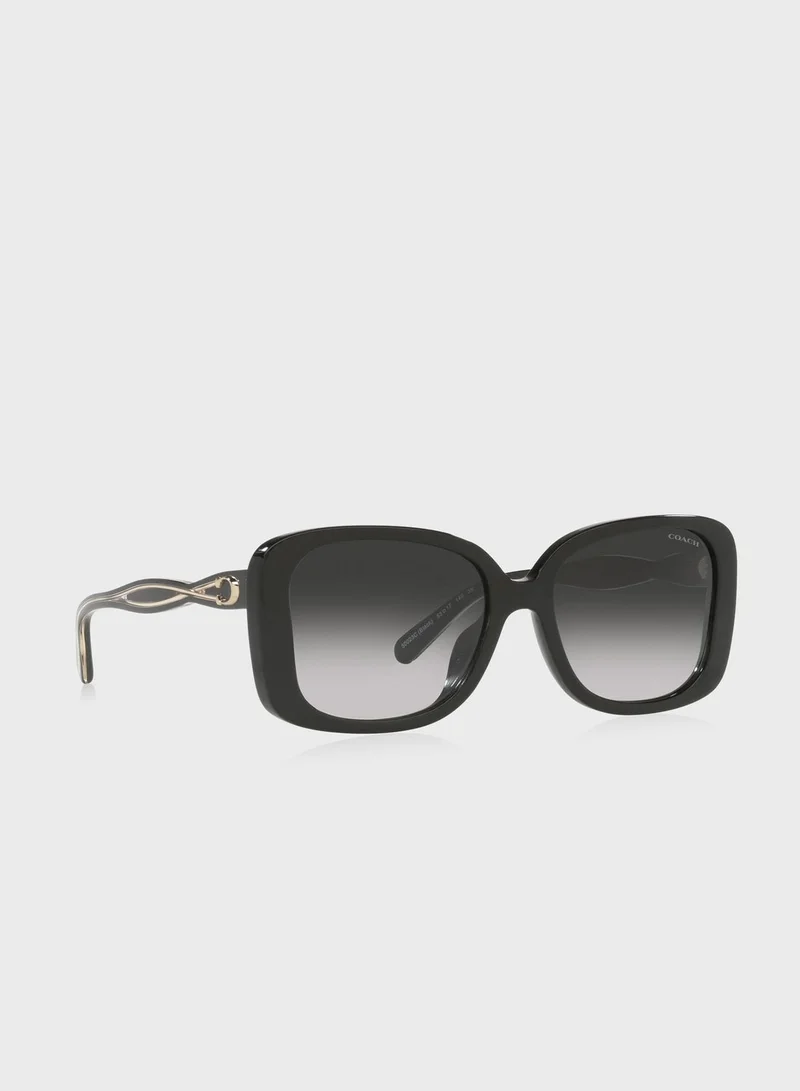 COACH 0Hc8334U Oversized Sunglasses