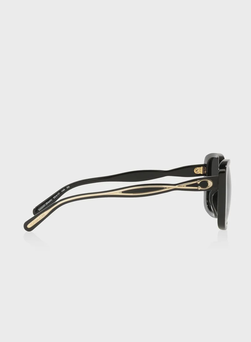 COACH 0Hc8334U Oversized Sunglasses