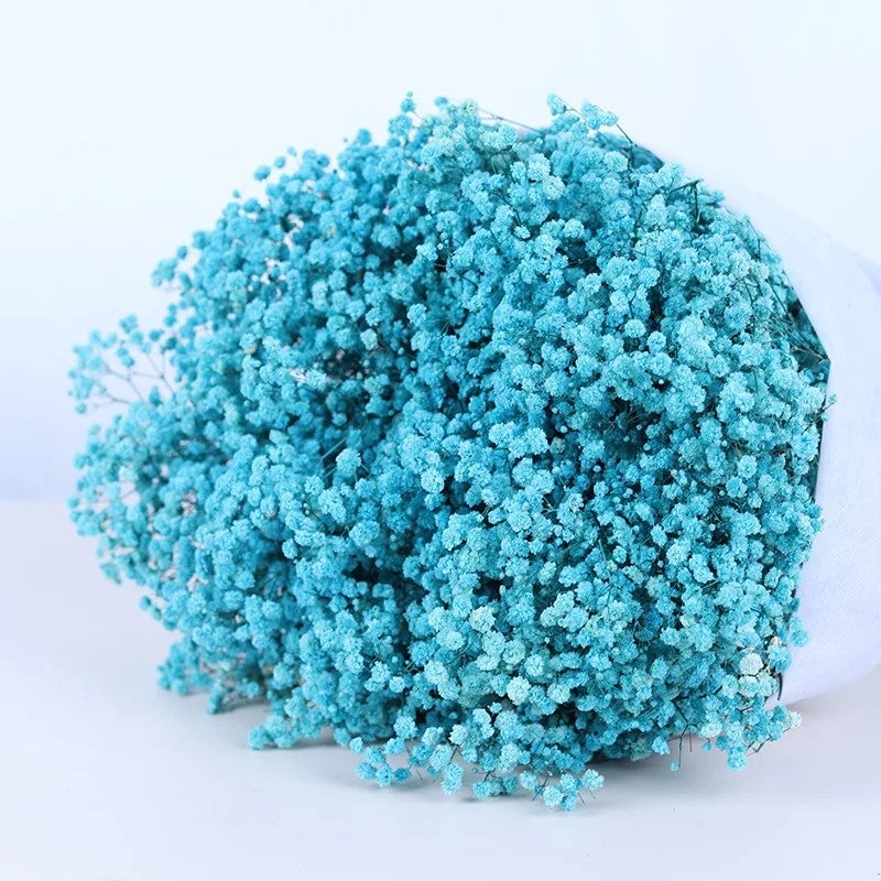 Bluejw Outlet Wedding Decor – Dried Baby's Breath Bouquet | Natural Preserved Gypsophila Flowers for Rustic & Boho Arrangements | Long-Lasting Dried Plants for Home & Event Decoration - Image 1