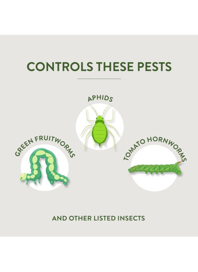 Garden Safe Garden Safe Houseplant and Garden Insect Killer  - Image 3