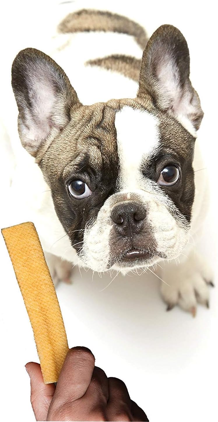 Chewers Mountain Dog Chew, 100% Natural Himalayan Yak Milk Bone, Healthy & Vegetarian Treat for Small Dogs, 70 GMS - Image 5