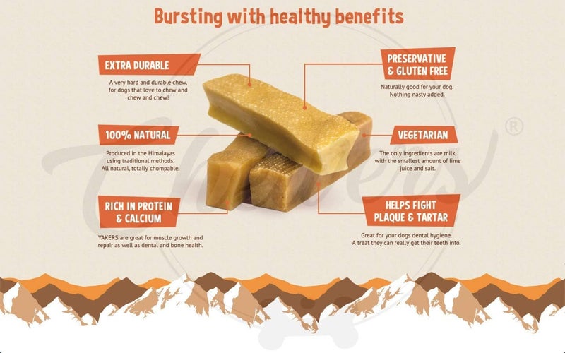 Chewers Mountain Dog Chew, 100% Natural Himalayan Yak Milk Bone, Healthy & Vegetarian Treat for Small Dogs, 70 GMS - Image 2