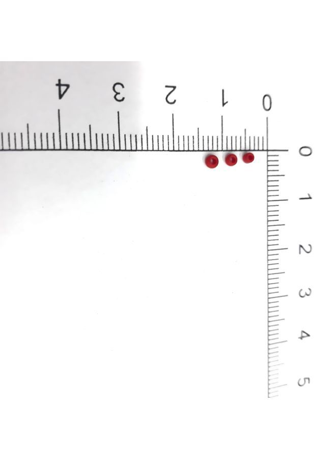 Loquat Pack Of 5000 Round Seed Glass Beads 0.2cm - Image 5