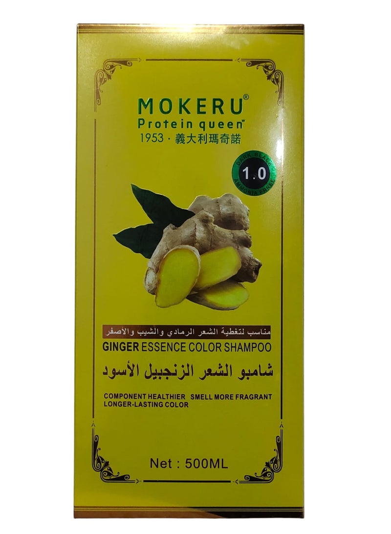 Ginger Essence Color Shampoo 1.0 Dark Black 500 ml