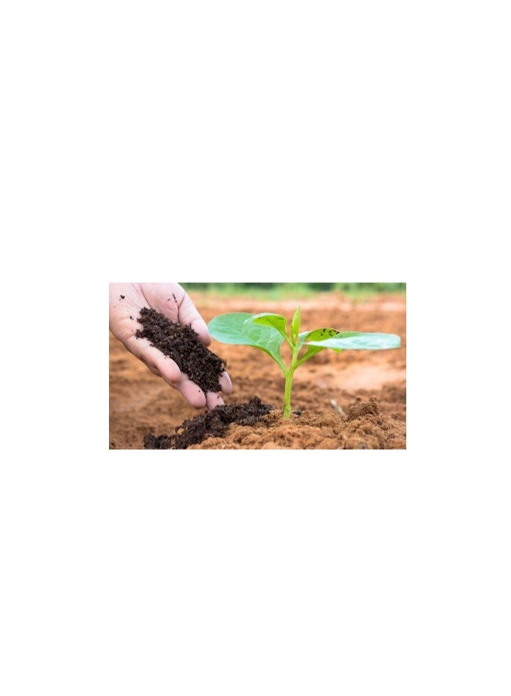 ڤسيل24 سماد عضوي من Farmer's Vermi - سماد غني بالمغذيات وبدون رائحة للزراعة العضوية  - Image 5