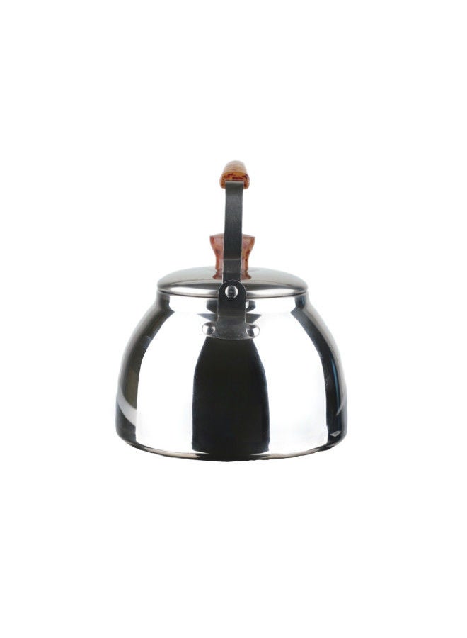 Bister Soleter Stainless Steel Tea Kettle with Wooden Backlit Handle, 1 L Wide Mouth, Anti-Leakage Cap, Silver – Suitable for Stovetop & Electric Use - Image 2