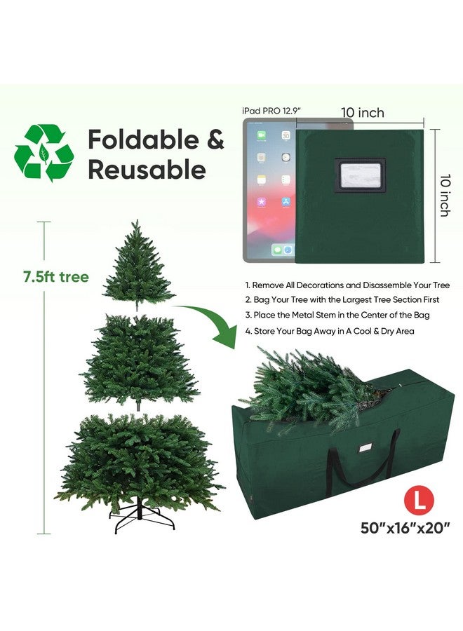 Baleine BALEINE 7.5 ft Extra Large Christmas Tree Storage Bag With Reinforced Handles and Dual Zippers for Wide Opening (Green)  - Image 3