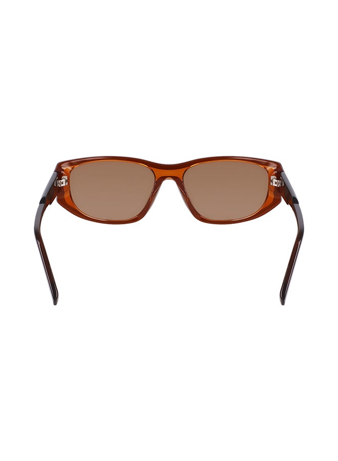 DKNY FULL RIM ACETATE DKNY SUN DK553S 5517 (200) LAYERED BROWN - Image 3