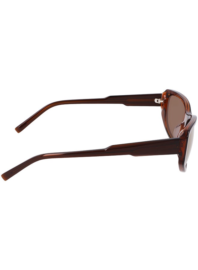 DKNY FULL RIM ACETATE DKNY SUN DK553S 5517 (200) LAYERED BROWN - Image 5