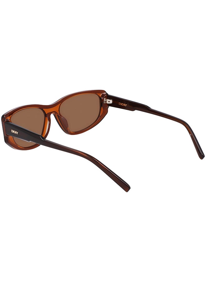 DKNY FULL RIM ACETATE DKNY SUN DK553S 5517 (200) LAYERED BROWN - Image 2