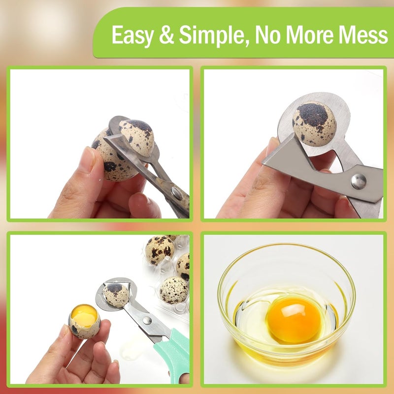 Ahier Pigeon Quail Egg Cutter Scissors Stainless Steel Blades Bird Cutter 2 Pack - Image 5