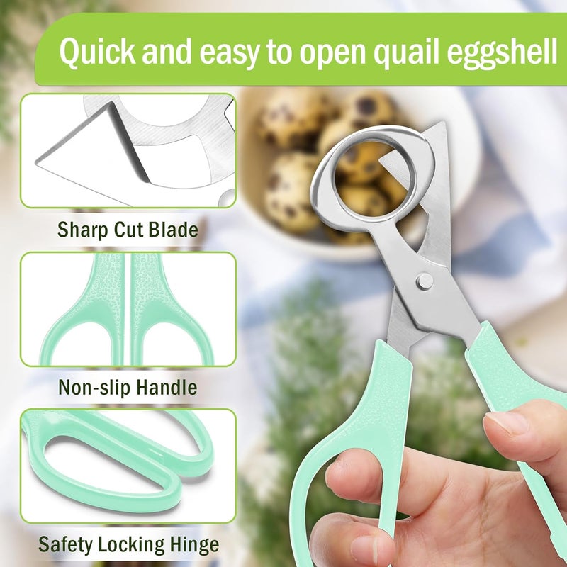 Ahier Pigeon Quail Egg Cutter Scissors Stainless Steel Blades Bird Cutter 2 Pack - Image 4