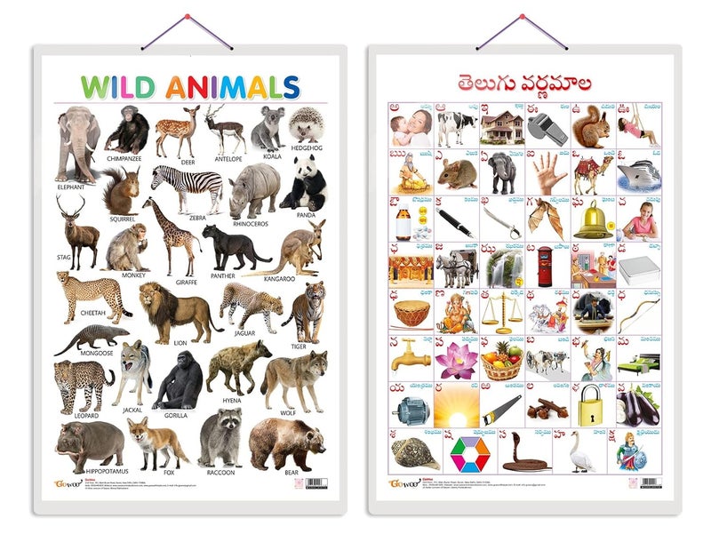 GoWoo Set of 2 Wild Animals and Telugu Alphabet (Telugu) Early Learning Educational Charts for Kids | 20"X30" inch |Non-Tearable and Waterproof | Double ... Kindergarten and Nursery Students - Image 1