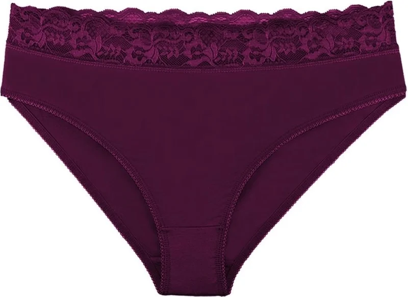 سينسو Women's Organic Bamboo Fabric Lace Waist Slip Panties 5 Pack Set - KTS3081
