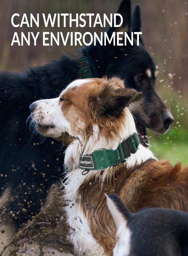 CollarDirect Heavy Duty Dog Collar for Large or Medium Dogs, Adjustable Strong Dog Collar for Active Dogs, Double-Layered Nylon (Green, 14-20) - Image 4
