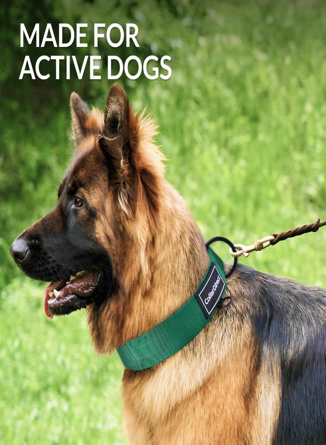 CollarDirect Heavy Duty Dog Collar for Large or Medium Dogs, Adjustable Strong Dog Collar for Active Dogs, Double-Layered Nylon (Green, 14-20) - Image 2