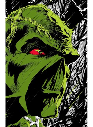 Absolute Swamp Thing by Len Wein and Bernie Wrightson - pzsku/ZF0FC57A444353A001031Z/45/_/1744118605/9bae07c1-73af-4f04-8343-740d8e583997