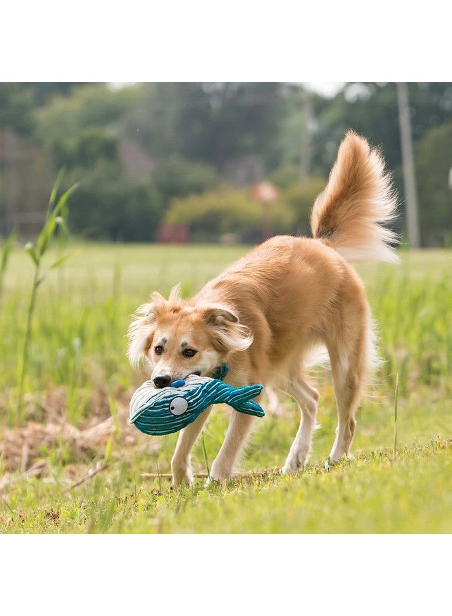 كونج لعبة الأخطبوط المحشوة للكلاب من KONG Cuteseas، لعبة ناعمة ومحببة مع أصوات صرير وخشخشة، لطيفة على الأسنان، مثالية للاحتضان والرمي واللعب التفاعلي، تقلل من القلق وتعزز الاسترخاء، متوسطة - Image 4