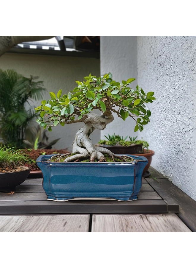 Teagas Bonsai Tree Pot - 13.7 Inch Large Ceramic Succulent Planter for Indoor Outdoor, Rectangle Plant Pot with Drainage Hole, Decorative Flower Pots, Home Decor, Gifts for Plant Lovers, Retro Blue - Image 3
