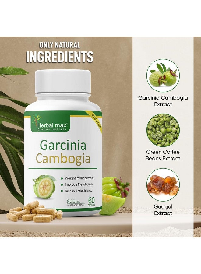 Herbal Max كبسولات هيربال ماكس جارسينيا كامبوجيا مع 60% HCA ومستخلص الشاي الأخضر، 60 كبسولة (800 ملغ) عبوة من 2 | إدارة الوزن الطبيعية | تحسن الهضم للرجال والنساء - Image 2