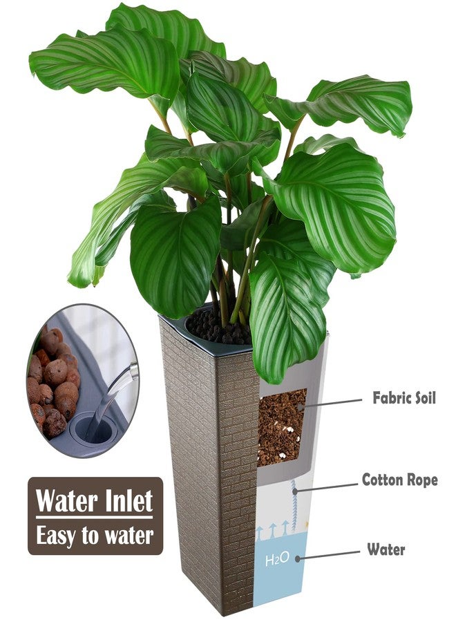 Planterhoma 2 Pack Self Watering Planters 10.7" x 6.9" Tall Planter for Indoor Plants Self Watering Violet Pots Plastic Flower Pots Square Planter, Bronze - Image 4