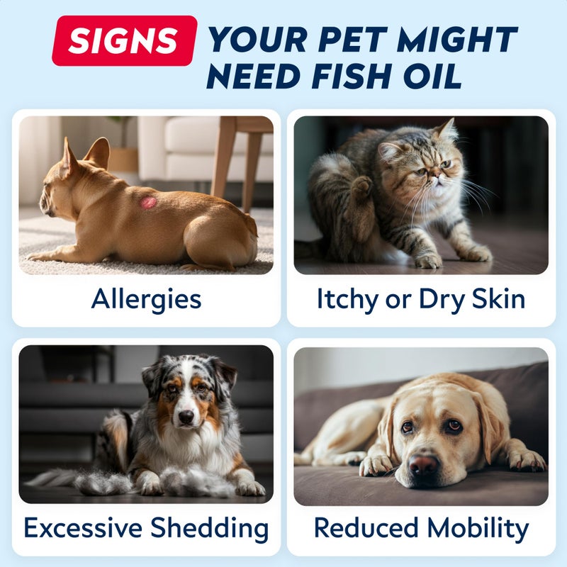 StrellaLab 32 OZ Salmon Oil for Dogs - Omega 3 for Dogs & Cats, Itch & Allergy Relief, Wild Alaskan Salmon Oil for Skin & Coat, Fish Oil Liquid, Shedding Health Support EPA & DHA Fatty Acids - Image 5