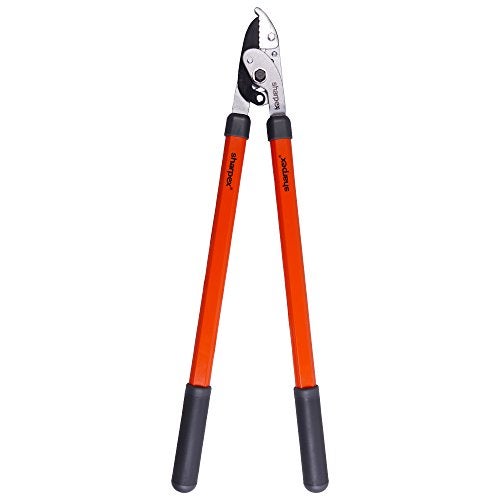 Sharpex Razor Sharp Carbon Steel Blade Anvil Lopper with Sturdy Handle, 2-Inch Cutting Capacity, Professional Garden Lopper - Pruning Tool (Orange) - Image 1