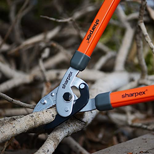 Sharpex Razor Sharp Carbon Steel Blade Anvil Lopper with Sturdy Handle, 2-Inch Cutting Capacity, Professional Garden Lopper - Pruning Tool (Orange) - Image 2
