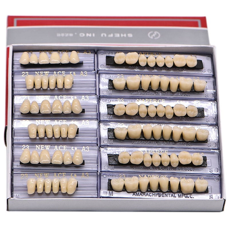 Angzhili Acrylic False Teeth for Halloween Horror Denture Teeth Sets Shade A3 Upper And Lower Sets 168pcs