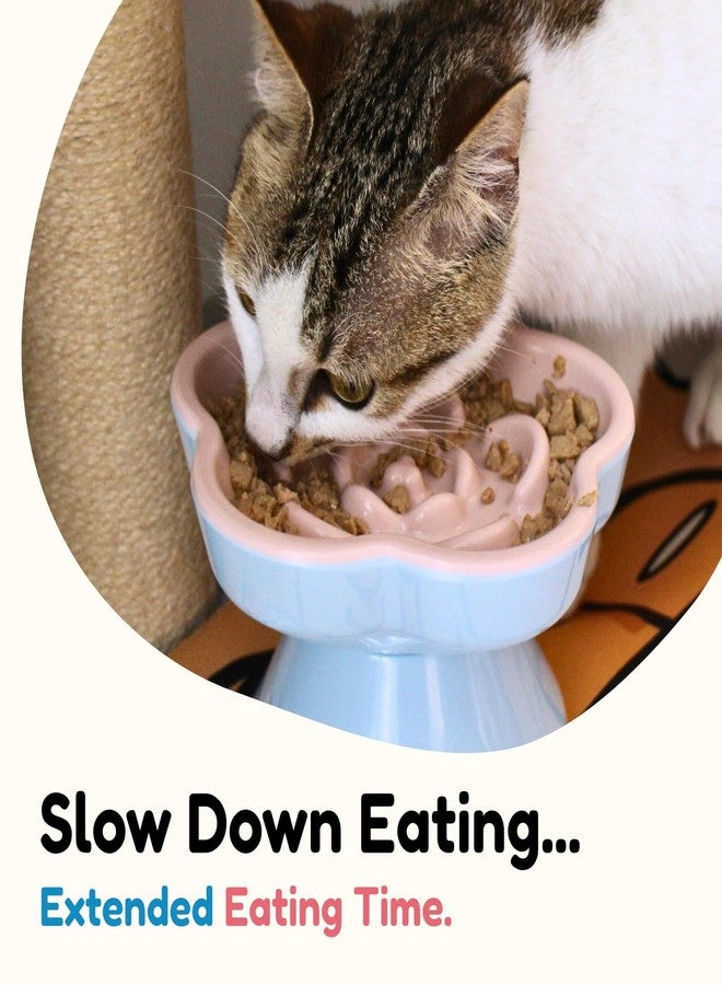 Tafelf 2Pc Slow Feeder Cat Bowl, Unbreakable Elevated Cat Bowls - Heavy Weighted, Non-Slip Raised Slow Feeder, Tilted Small Dogs Slow Feeders Bowl, Dry & Wet Food, Whisker Friendly (Pink, 5.8" - Image 5