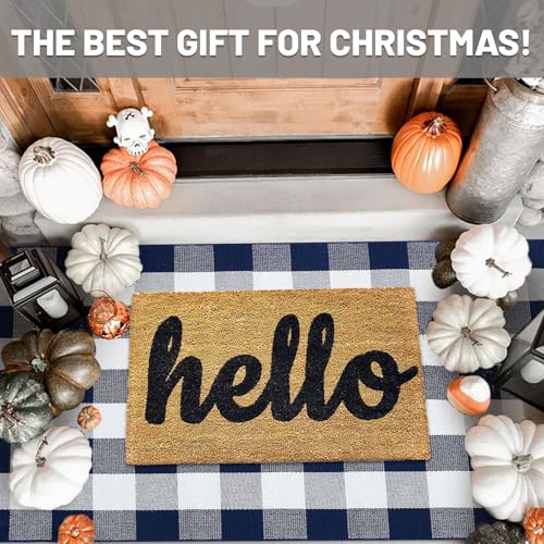 IOHOUZE Buffalo Plaid Checkered Rug 3x5 Ft Front Door Mats Washable Area Rugs for Front Porch Decor Spring Summer Welcome Mats Outdoor Navy White Rug for FarmhouseEntrywayHome Entrance - Image 3