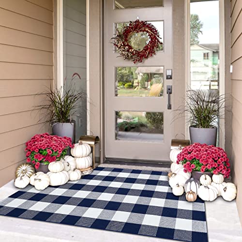 IOHOUZE Buffalo Plaid Checkered Rug 3x5 Ft Front Door Mats Washable Area Rugs for Front Porch Decor Spring Summer Welcome Mats Outdoor Navy White Rug for FarmhouseEntrywayHome Entrance - Image 1
