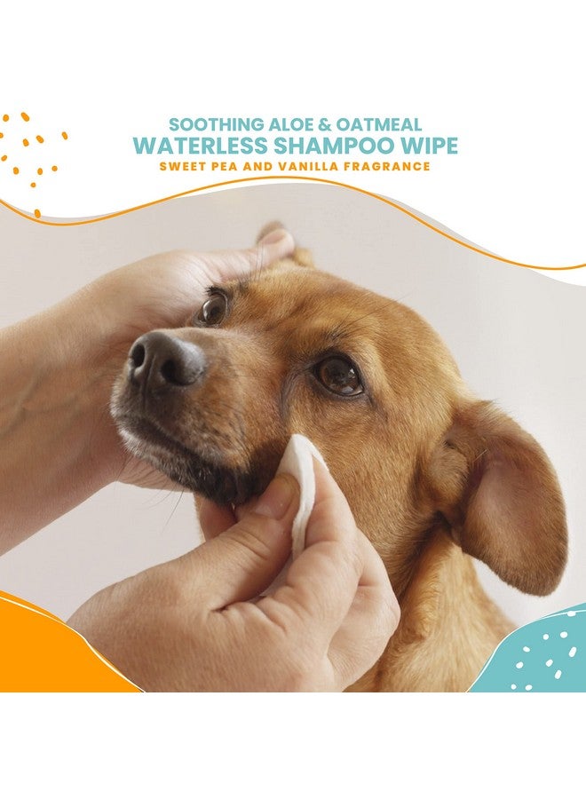 nootie Nootie Waterless Shampoo Wipes for Dogs & Cats - Value Pack, 210 Count - Long Lasting Sweet Pea Vanilla Fragrance - Sold in Over 10,000 Vet Clinics and Pet Stores Worldwide, Made in USA - Image 2