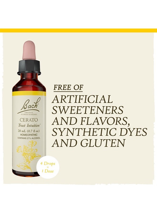 Bach Original Flower Remedies, Cerato for Trusting Intuition, Natural Homeopathic Flower Essence, Holistic Wellness and Stress Relief, Vegan, 20mL Dropper - Image 5