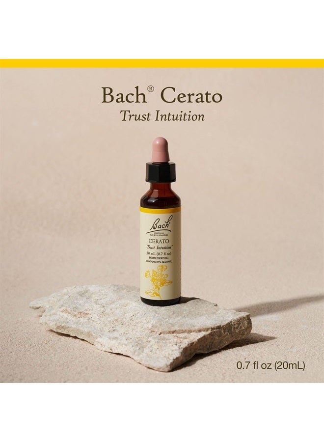 Bach Original Flower Remedies, Cerato for Trusting Intuition, Natural Homeopathic Flower Essence, Holistic Wellness and Stress Relief, Vegan, 20mL Dropper - Image 2