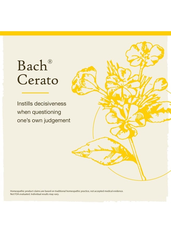 Bach Original Flower Remedies, Cerato for Trusting Intuition, Natural Homeopathic Flower Essence, Holistic Wellness and Stress Relief, Vegan, 20mL Dropper - Image 3