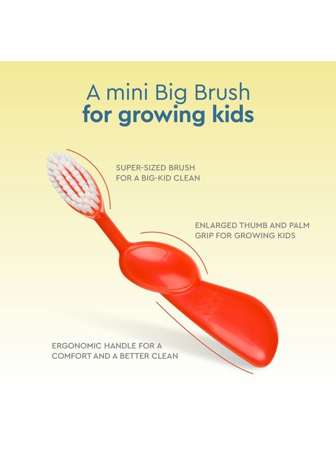 Radius Kidz Toothbrush Children's Right Hand BPA Free ADA Accepted Designed to Clean Teeth & Gums for Children 6 Years & Up - Assorted Colors - Pack of 6 - Image 4