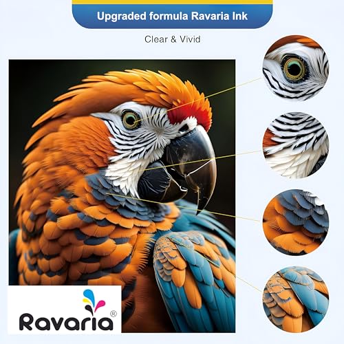 Ravaria GI 71 Ink for Canon Printer G1020 G1730 G1737 G2020 G2021 G2060 G3020 G3730 G3770 G4770 (GI 71 Ink Black 2 Pcs) - Image 5