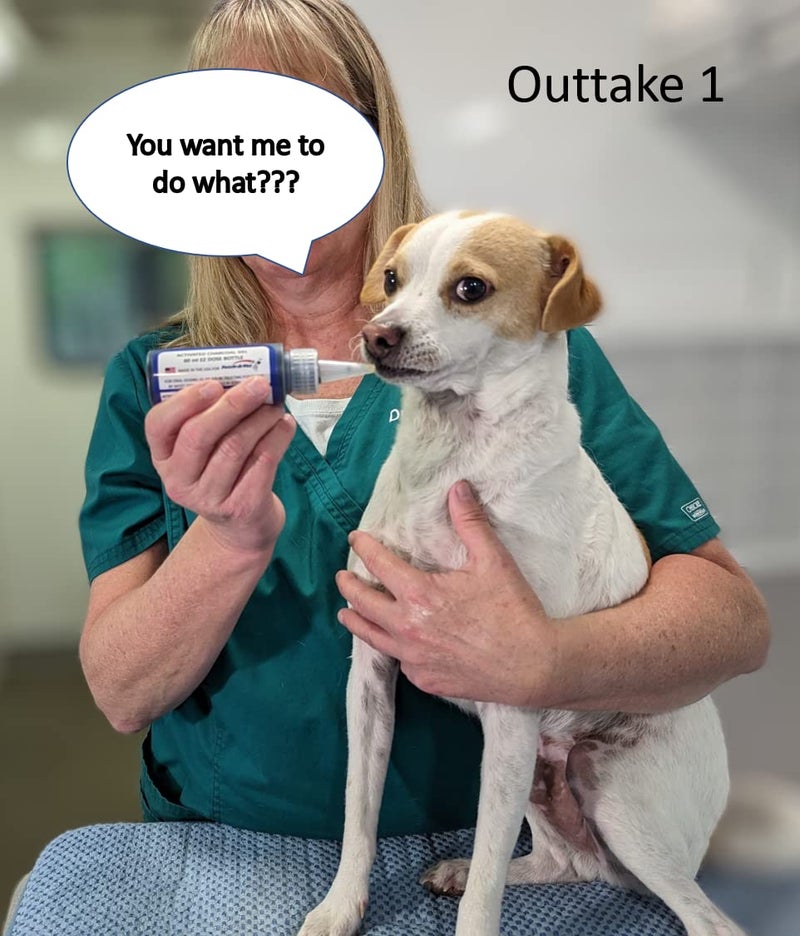 Fetch A Vet جل الفحم النشط Fetch A Vet 60 مل زجاجة EZ Dose (عبوة واحدة) علاج طوارئ للحيوانات الأليفة لمضادات السموم - Image 3