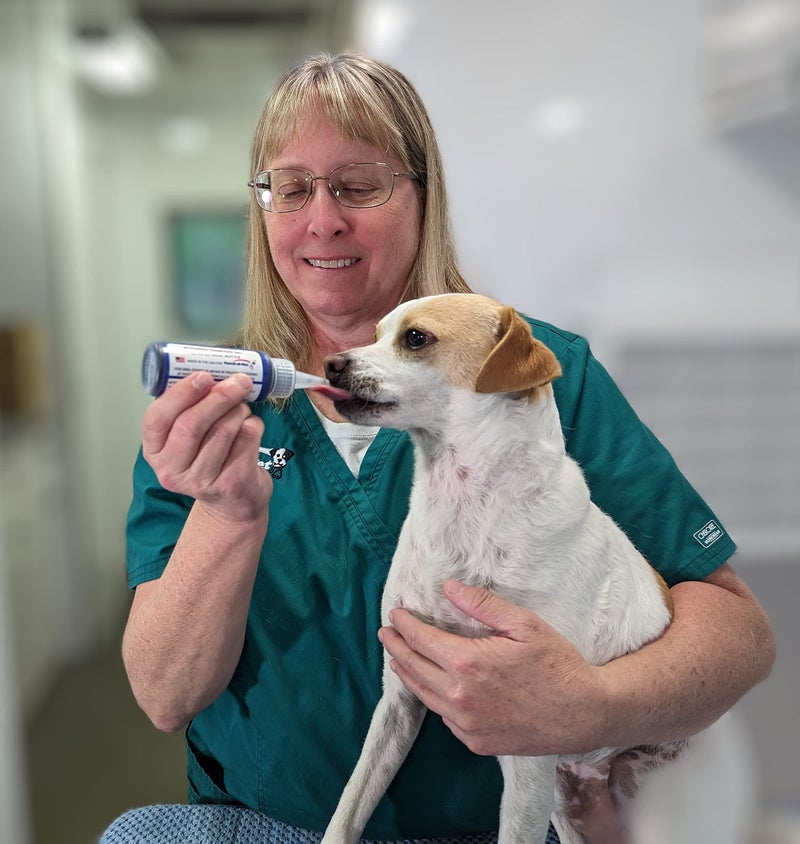 Fetch A Vet جل الفحم النشط Fetch A Vet 60 مل زجاجة EZ Dose (عبوة واحدة) علاج طوارئ للحيوانات الأليفة لمضادات السموم - Image 2