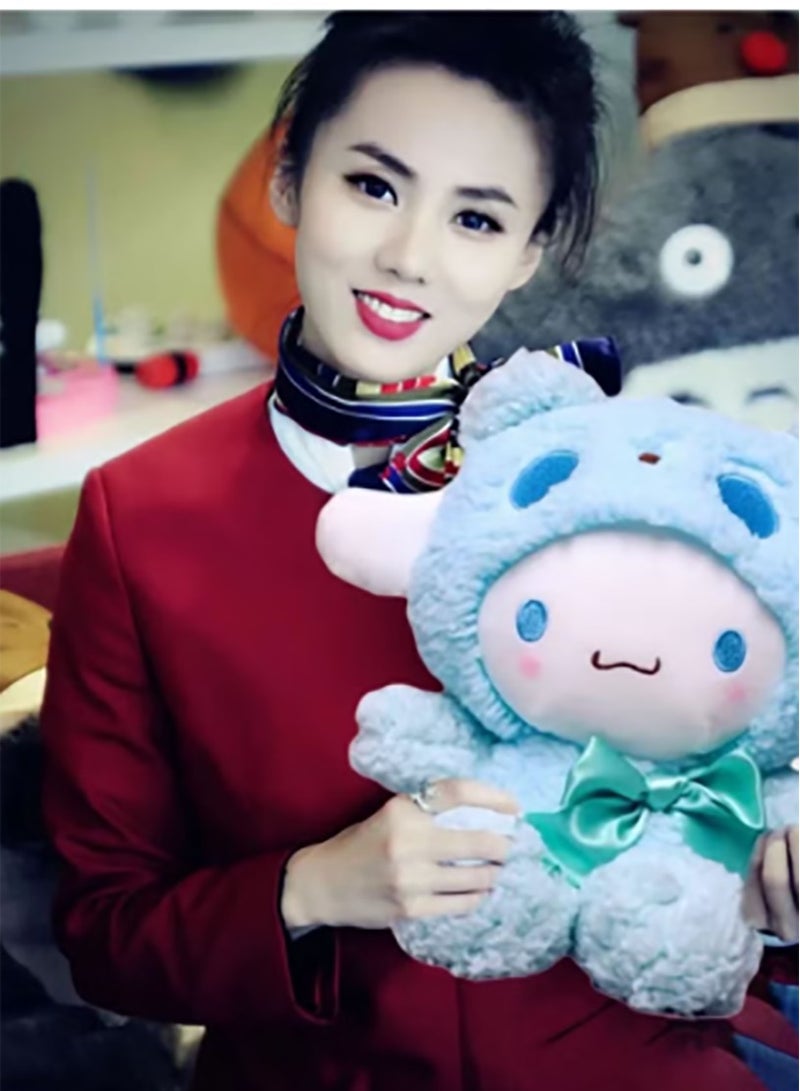 Cinnamon Hot sale Sanrio Cinnamon plush doll doll toy - Image 2