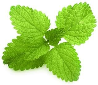 lavera معجون أسنان لافيرا للعناية الكاملة بالنعناع فلوريد الصوديوم 5 في 1 حماية نباتي بيولوجي طبيعي مستحضرات تجميل مبتكرة عضوية للعناية بالأسنان 75 مل - Image 2