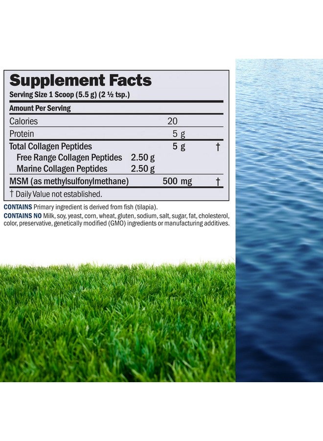 ANDREW LESSMAN Marine, Free Range Collagen Peptides Powder and MSM 120 Servings - Supports Radiant Smooth Soft Skin, Comfortable Joints. Super Soluble No Fishy Flavor No Additives Non-GMO - Image 2