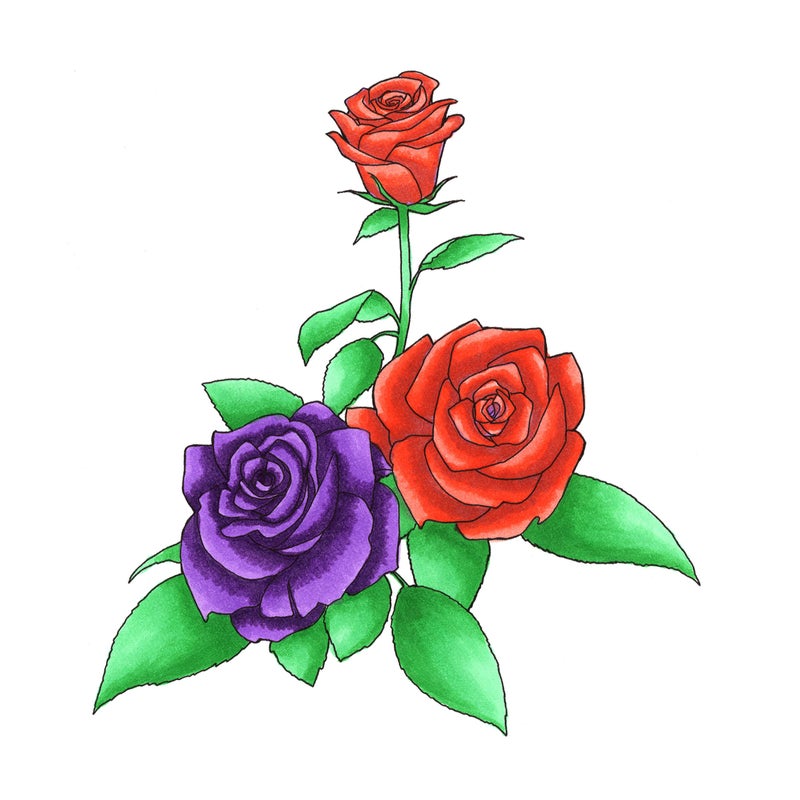 Copic Sketch, Alcohol-based Markers, 6pc Set, Secondary Tones - Image 2