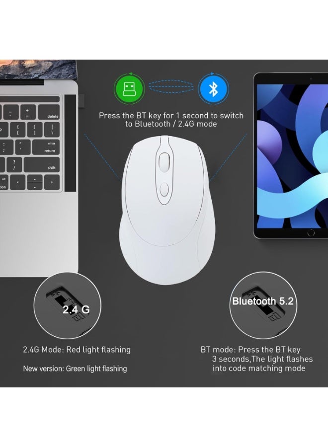 ماوس لاسلكي ثنائي الوضع بتردد 2.4 جيجاهرتز، بلوتوث 5.2، نقرة صامتة، تصميم مريح - مستشعر بصري بدقة 1600 نقطة في البوصة، قابل لإعادة الشحن عبر منفذ USB-C لأجهزة الكمبيوتر المحمولة/الشخصية/آيباد/ماك بوك برو/إير - Image 2