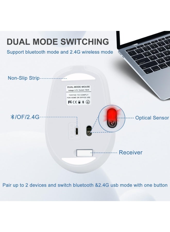ماوس لاسلكي ثنائي الوضع بتردد 2.4 جيجاهرتز، بلوتوث 5.2، نقرة صامتة، تصميم مريح - مستشعر بصري بدقة 1600 نقطة في البوصة، قابل لإعادة الشحن عبر منفذ USB-C لأجهزة الكمبيوتر المحمولة/الشخصية/آيباد/ماك بوك برو/إير - Image 5
