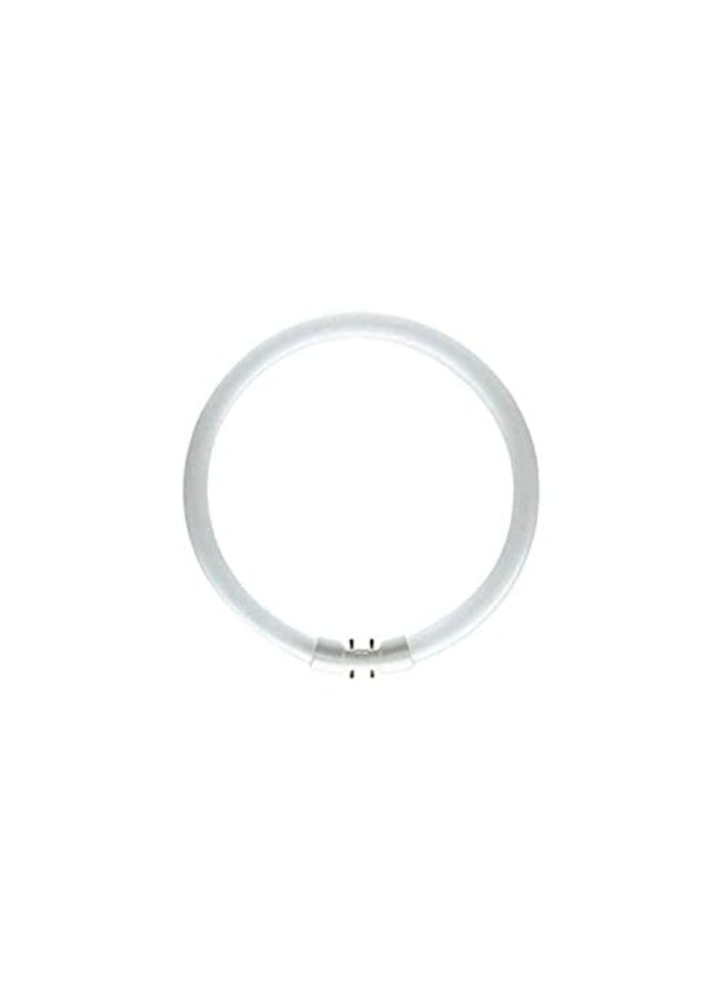 Osram Osram Fluorescent Circular Lamp 22W 8401800 Lumen  - Image 1