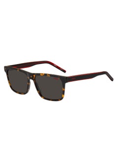 Men's Uv Protection Rectangular Shape Acetate Sunglasses Hg 1242/S Grey 42 - Lens Size: 42.4 Mm - Havan Red